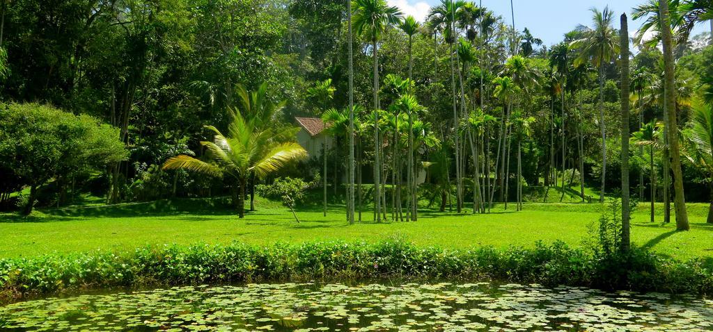 Siri Wedamadura Villa Weligama Cameră foto